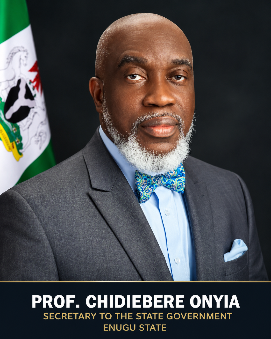 Enugu Begins Statewide Revalidation, Digitisation of Survey Records