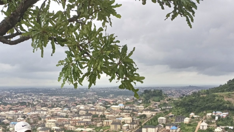 Screenshot 2023-08-01 at 2.49.04 PM