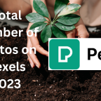 Total Number of Photos on (1)