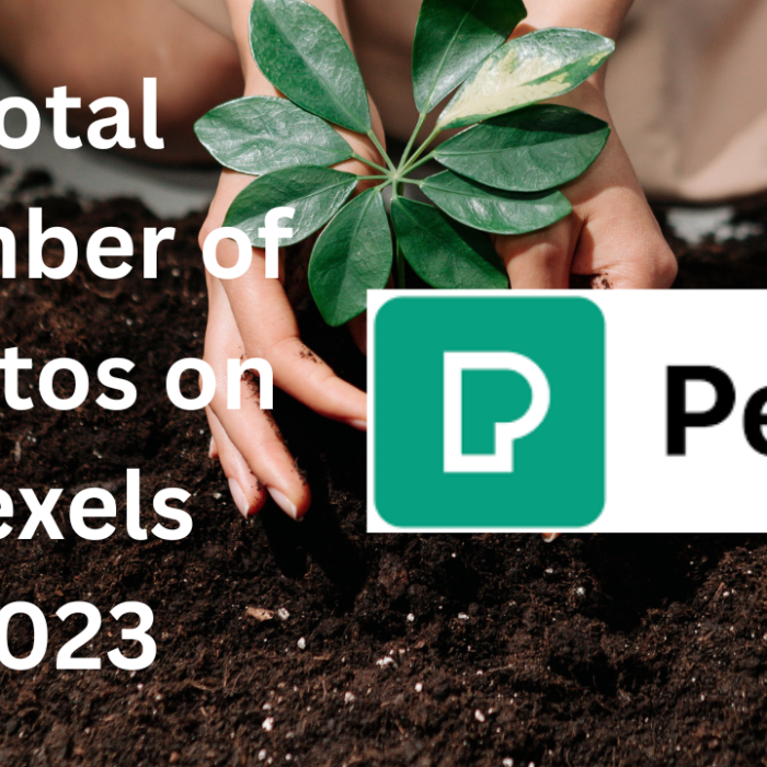 The Total Number of Photos on Pexels.com in 2023