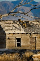 pexels-chris-allen-17494794