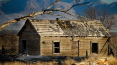 pexels-chris-allen-17494794