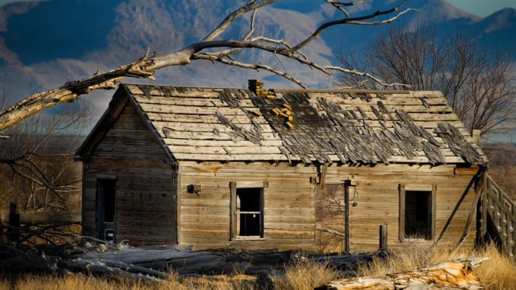 pexels-chris-allen-17494794