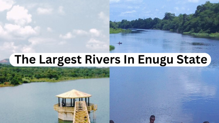 watch what happens when you squise money (4)