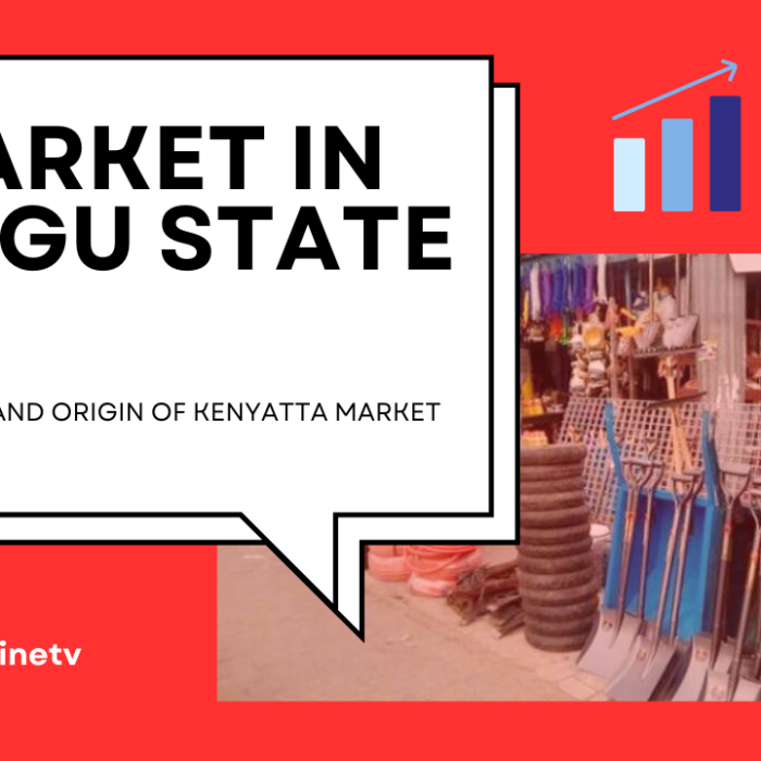 The History and Origin of Kenyatta Market in Enugu State