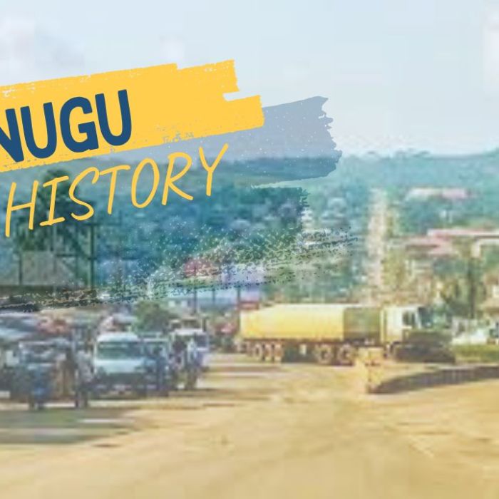 The Evolution of Enugu State Starting From Colonial Coal Mines to Post-War Development