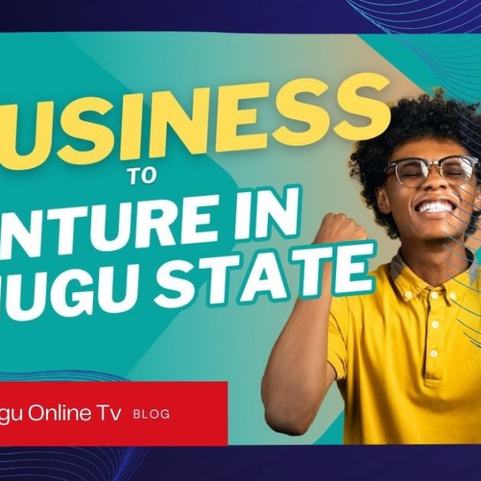 Top Businesses Ideas and Well-Paid Ventures in Enugu State