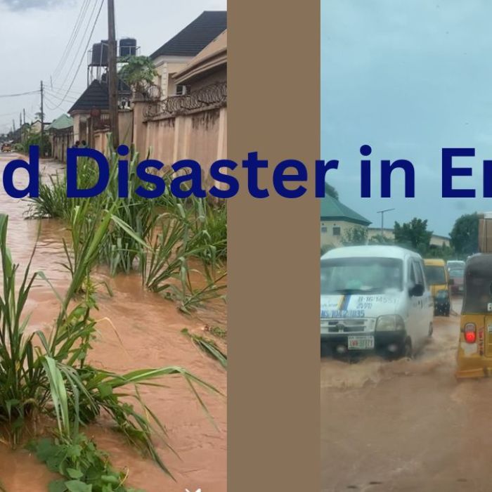 Flood Disaster in Emene, Enugu State: A Wake-Up Call for Action Introduction