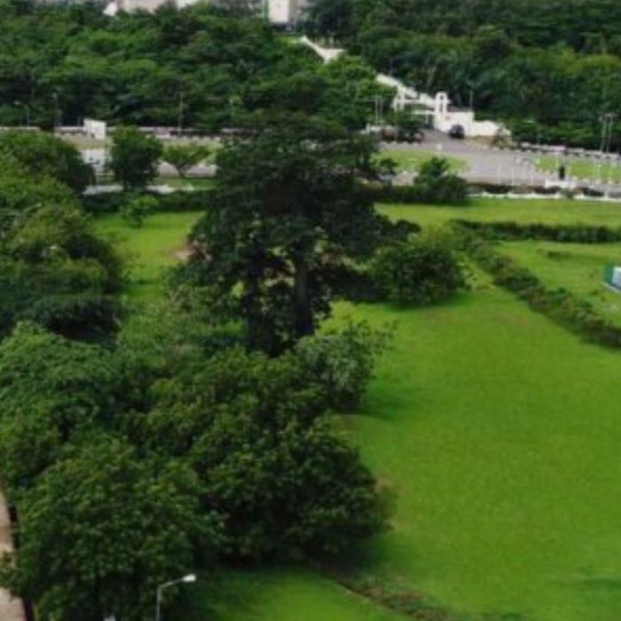Enugu’s Green Revolution  Local Innovations Driving Sustainable Agriculture and Food Security