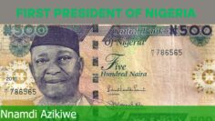 Nnamdi Ziks
