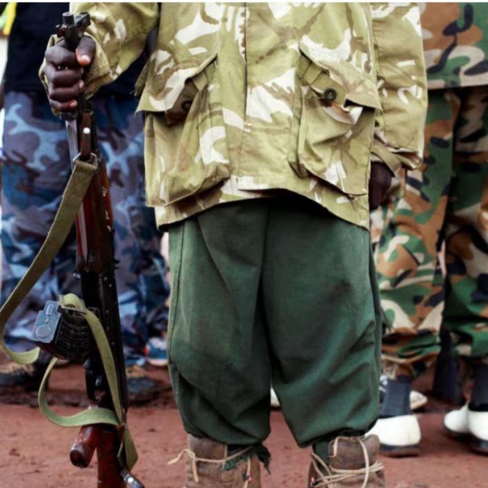 Son of Boko Haram Founder Arrested in Chad