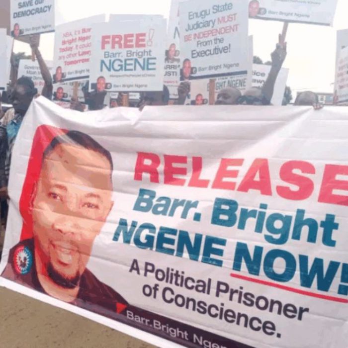Protesters Storm NBA Conference, Demand Release of Enugu Lawmaker Elect