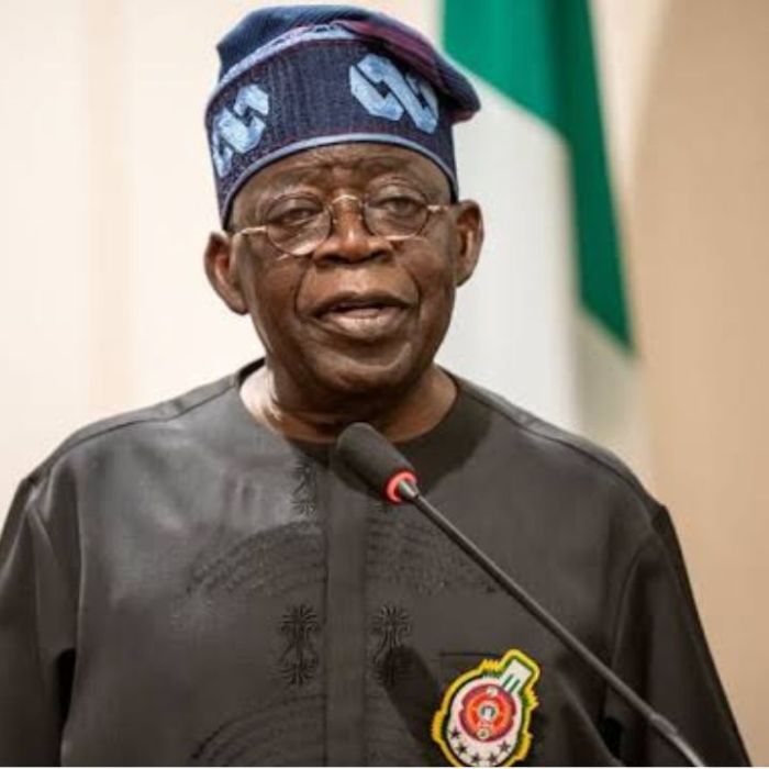 Tinubu Urges Diaspora to Champion Nigeria’s Growth Through Technology and Food Security