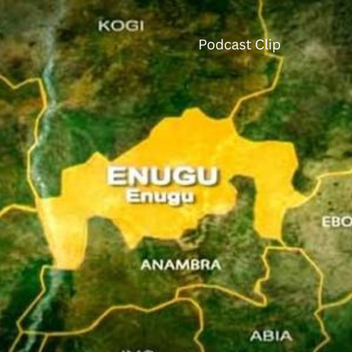 Enugu community cries out over repeated attacks by armed herders