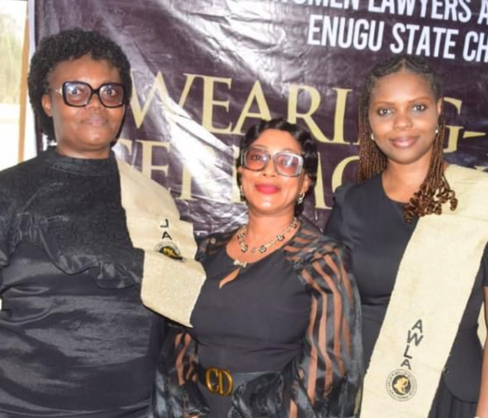 Domestic Violence Is a National Emergency, We Must Act Now, Says Chidi Obeke-Okoli