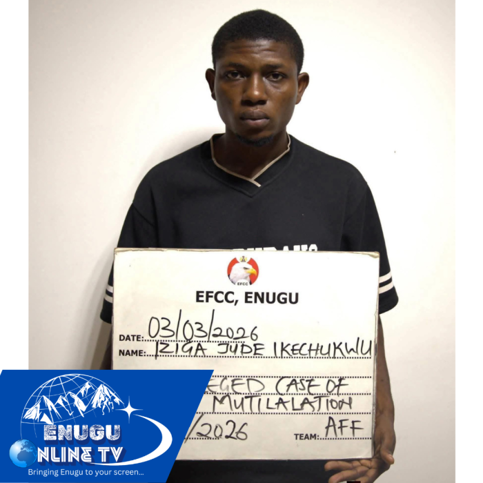 Breaking News: Court Jails Enugu Man One Year for Naira Abuse During Birthday Celebration