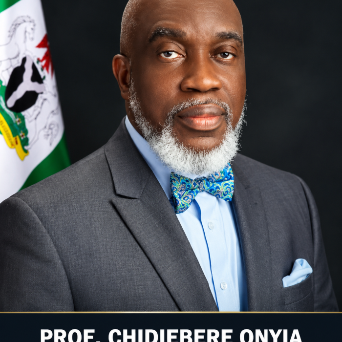 Enugu Begins Statewide Revalidation, Digitisation of Survey Records