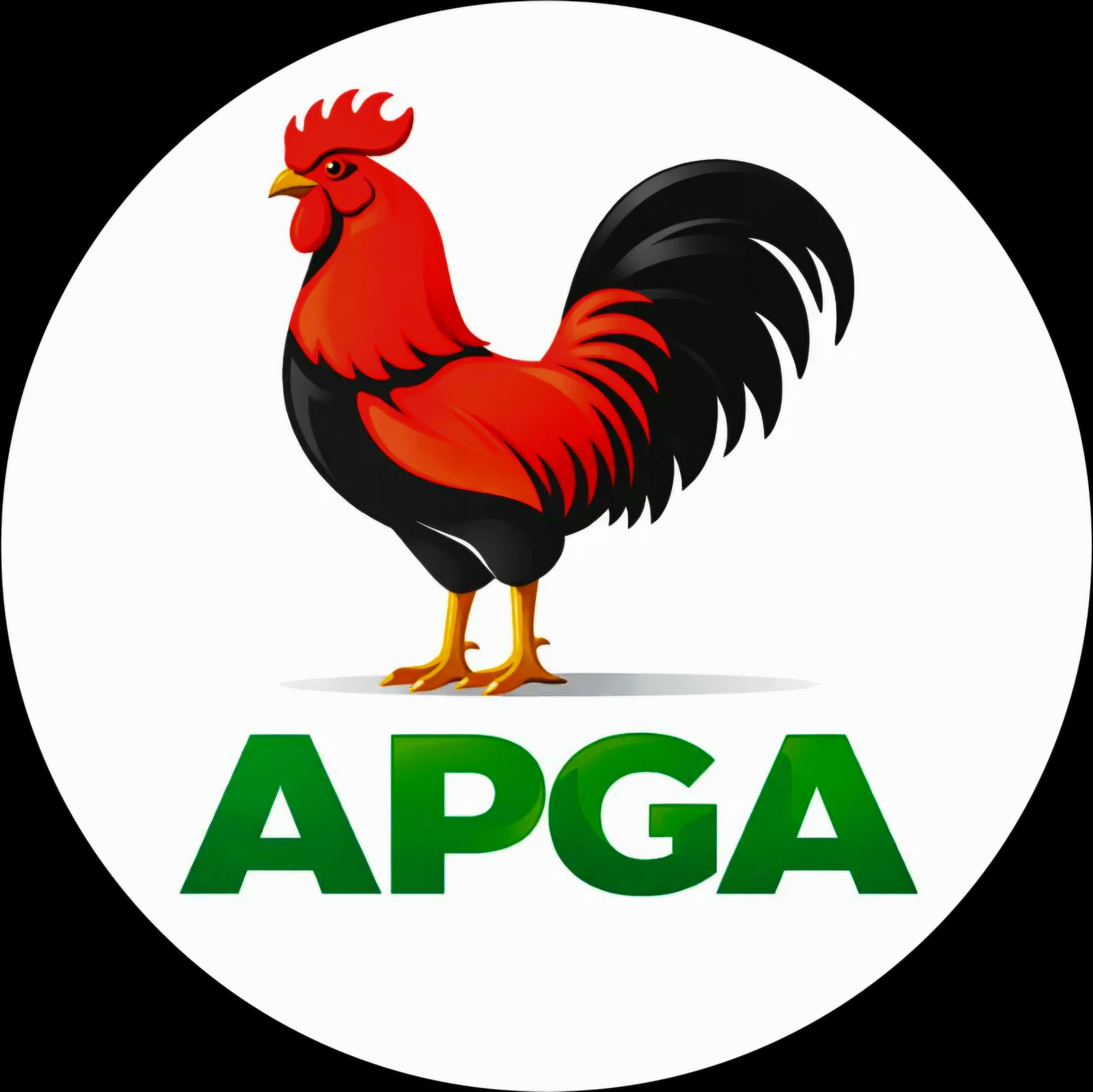 apga-reps-candidate-urges-women-to-promote-peace-unity-in-communities