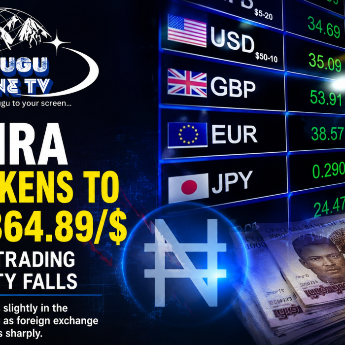 Naira Weakens to N1,364.89/$ as Nigeria’s FX Trading Activity Falls